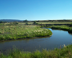 site near Springerville