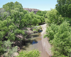 Gila River