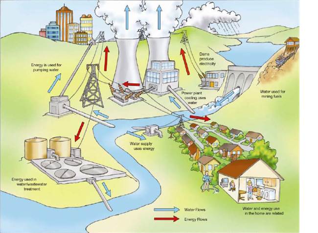 How Does Water Move Through Your House?